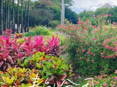 -深圳国际园林花卉博览园