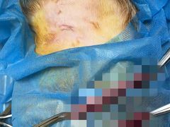 -乐琪宠物医院·犬猫专科·骨外科·急重症