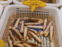 -驻海渔市(置信店)