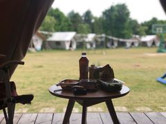 -上海海湾国家森林公园