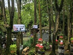 -土砂锅生态山庄·非遗砂锅雅鱼
