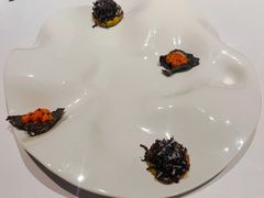 -蝶舍·MAISON PAPILLON