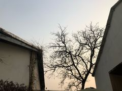 -凤凰御元艺术基地