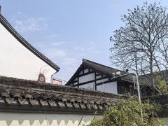 -鲁镇