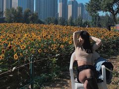 -长白岛森林公园