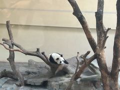 -宁波野生动物园