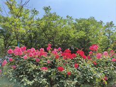 -鹦鹉寺公园