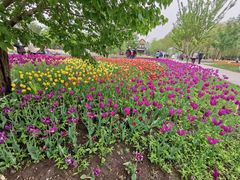 -长春公园(普阳街道)