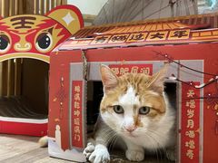 -南枝小馆(银鱼巷店)