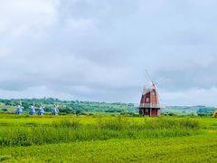 -塞罕坝国家级自然保护区