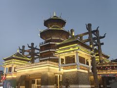 -老凯俚酸汤鱼(多彩城店)