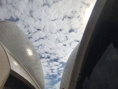 -悉尼歌剧院