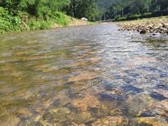 -金孔雀温泉旅游度假村