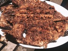 烤虹鳟鱼-何适山庄 ·可团建(水长城P2停车场店)