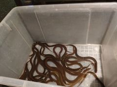 -上名堂·鱼头好吃(体育场路店)