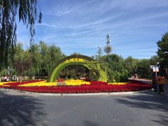 -大兴滨河森林公园