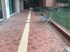 -香港大学