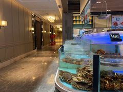 -同庆楼(滨湖万达广场店)
