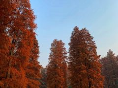 -东湖磨山景区