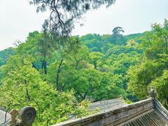 -潭柘寺景区