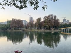 -四海公园(南山区)
