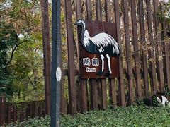 -沈阳森林动物园