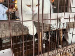 -动动咖啡清真西餐厅