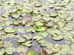 -浙江科技大学(小和山校区)