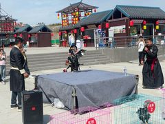 -南阳卧龙岗武侯祠
