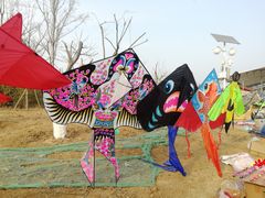 -济南国际园博园