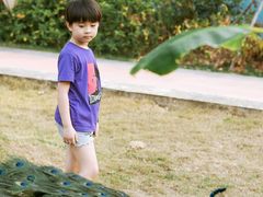 -西双版纳融创皇冠假日度假酒店