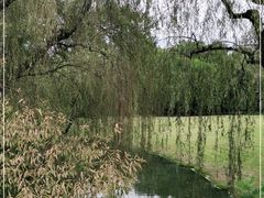 -柳浪闻莺公园