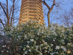 -玲珑塔公园