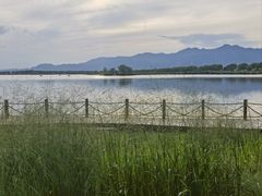 -野鸭湖国家湿地公园