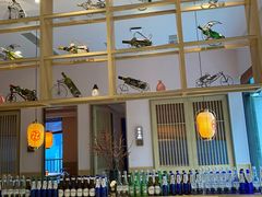 -蚝翅·海鲜粥·烧烤·宁夏滩羊季(玉米楼店)