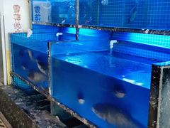 -姜君·千岛湖鱼头馆(浦东大道店)