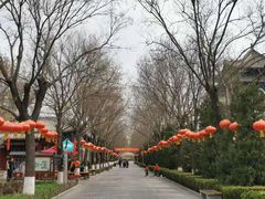 -大槐树寻根祭祖园