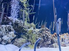 -海合安天津极地海洋公园