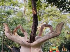 -瑞丽独树成林风景区