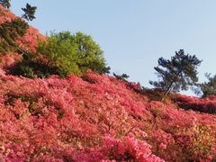 -木兰云雾山
