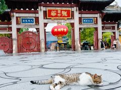 -龙华素斋(龙华路店)