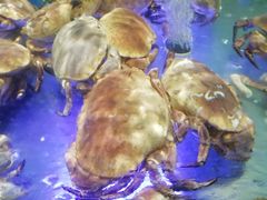-盒马鲜生(悠方店)