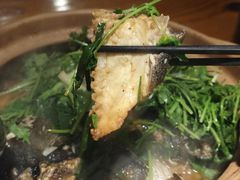 -九道菜有鸡鱼头(石鼓路店)