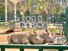 -秦皇岛野生动物园