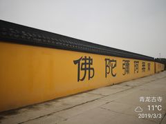 -上海青龙寺