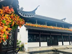 -青果巷历史文化街区