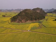 -牛街螺丝田