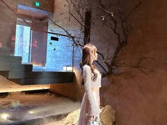-龙吟山房(青龙山庄店)