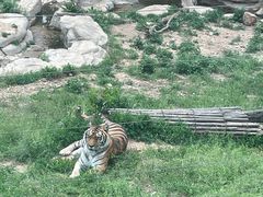 -大连森林动物园