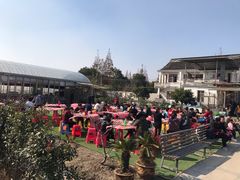-小鱼草莓采摘园农家乐·小鱼餐厅